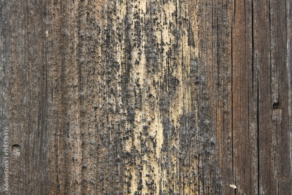 Fototapeta premium Texture of the old dry pine boards 20427