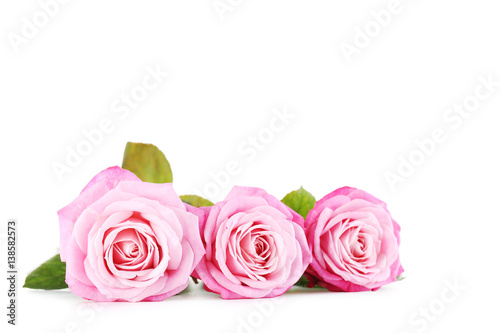 Bouquet of pink roses isolated on a white