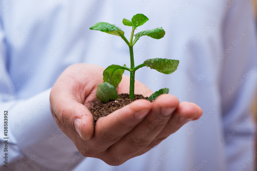 Man holding green seedling isolated on white Man holding green seedling isolated on white