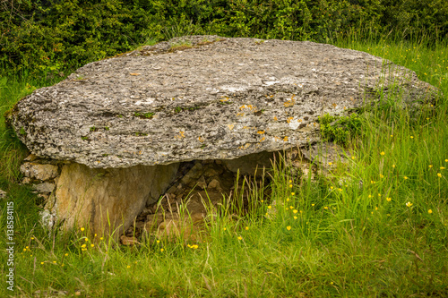 Foto vestige