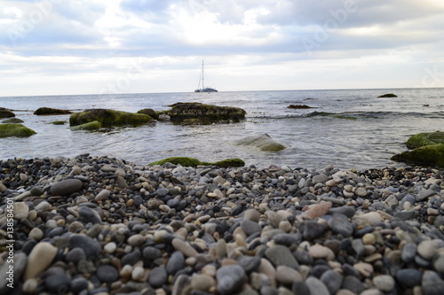 sea,beach,Crimea,Sudak,fortress,castle,Genoese fortress,Ukraine,mountains,cliffs,rocks, sea,sky,blue sky,sun,sea, stones,waves,spray,water,cat,gray cat,cat,smoothie,drink,glass,cherry,cocktail,Seagull