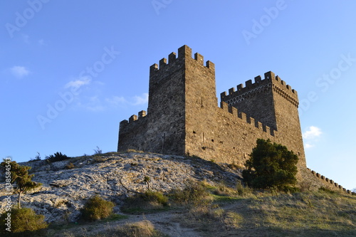 sea,beach,Crimea,Sudak,fortress,castle,Genoese fortress,Ukraine,mountains,cliffs,rocks, sea,sky,blue sky,sun,sea, stones,waves,spray,water,cat,gray cat,cat,smoothie,drink,glass,cherry,cocktail,Seagull