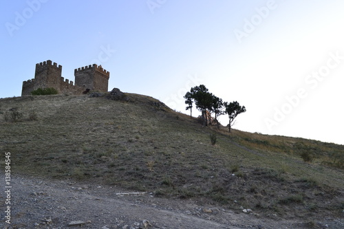 sea,beach,Crimea,Sudak,fortress,castle,Genoese fortress,Ukraine,mountains,cliffs,rocks, sea,sky,blue sky,sun,sea, stones,waves,spray,water,cat,gray cat,cat,smoothie,drink,glass,cherry,cocktail,Seagull