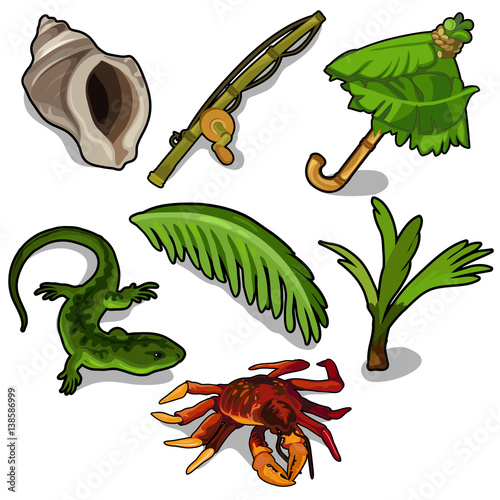 Tropical plants, rod, crab, lizard, and others