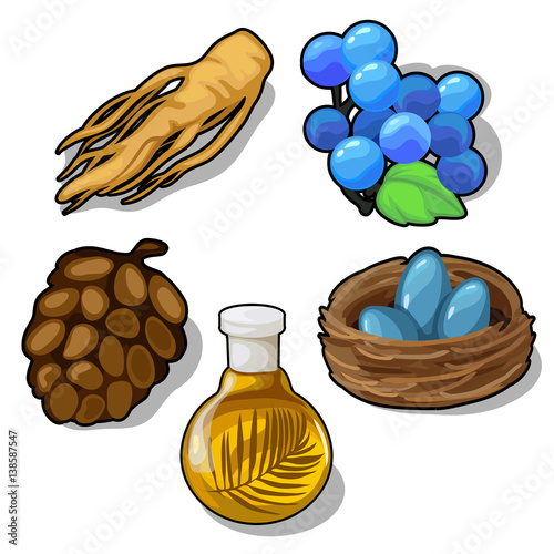Plants and eggs in nest. Food and animal concept