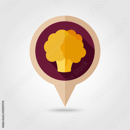 Cauliflower flat pin map icon. Vegetable vector