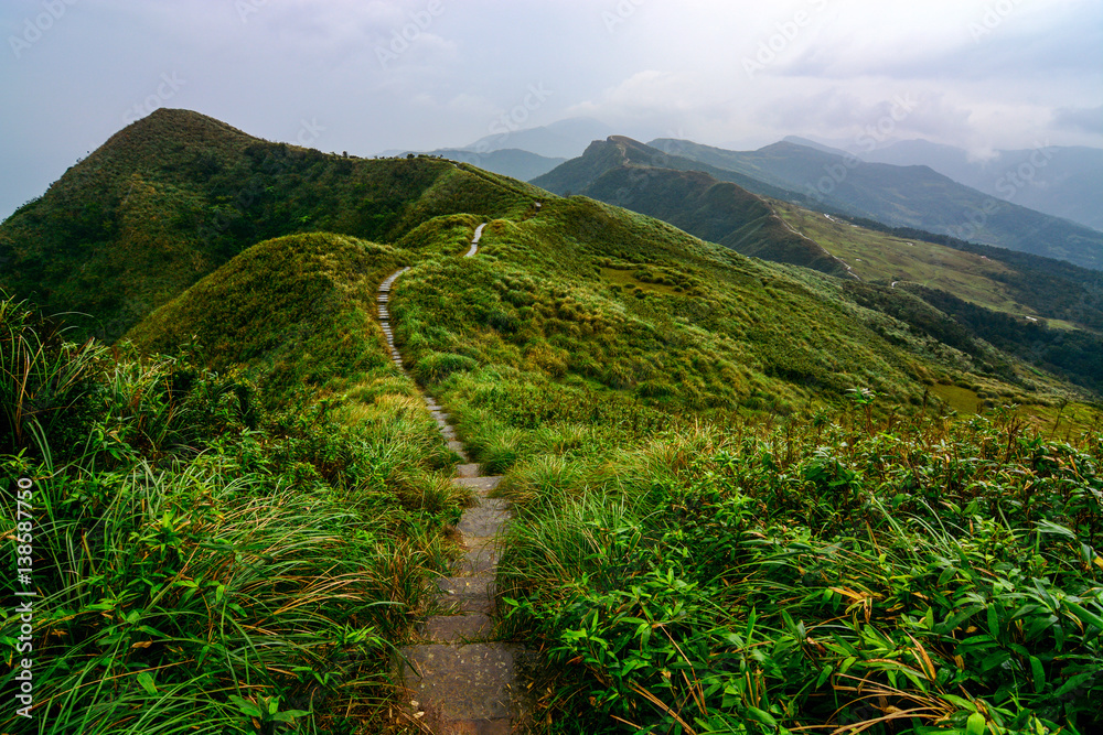 Fototapeta premium Spokojna ścieżka przez zielone wzgórza i łąki na historycznym szlaku Caoling na Tajwanie