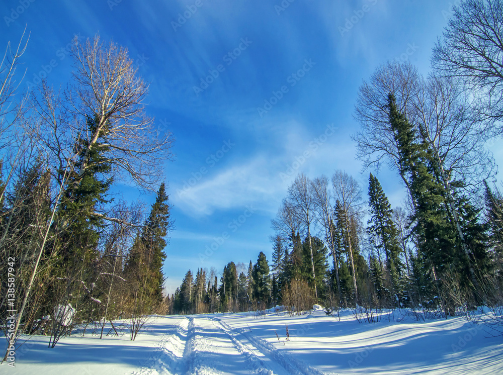 Idyllic place in sunny winter forest with road of snow machine