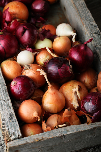 Rustic organic onions in different colors