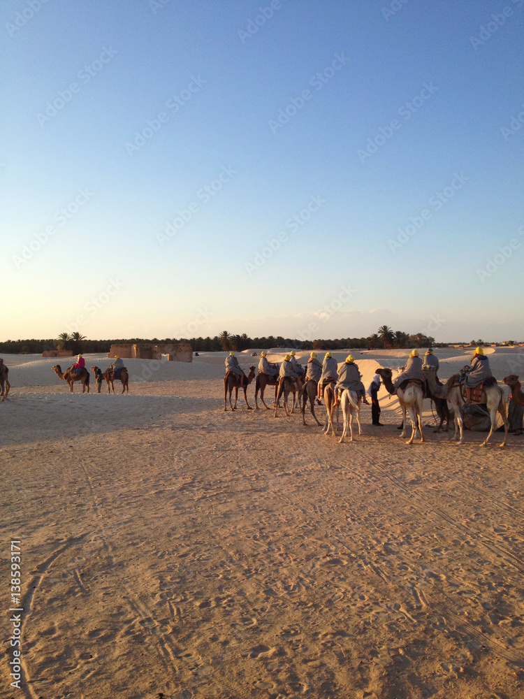 Tourists on camels to meet the sunrise in the Sahara desert, Tunisia