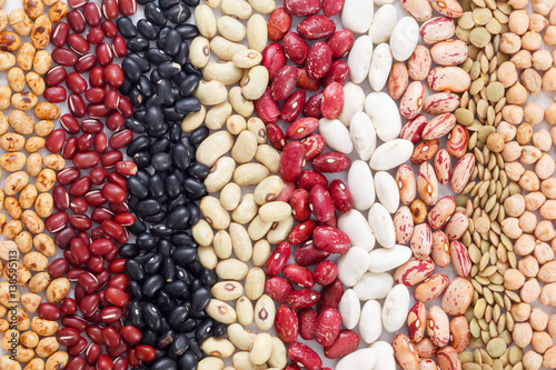 Multicolored mixed dried beans in rows background