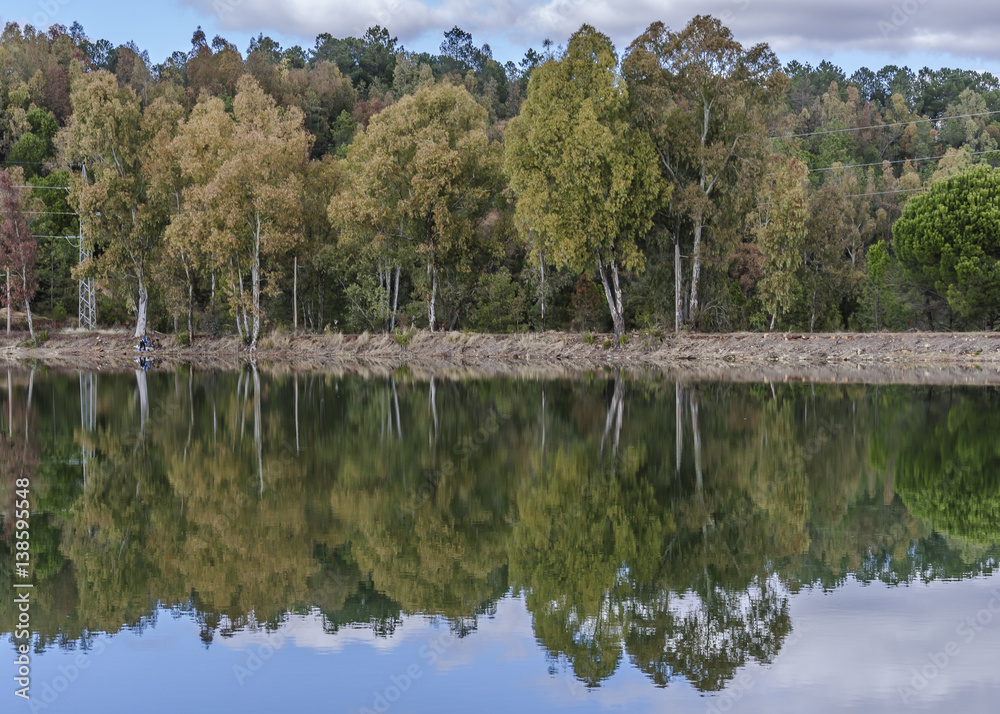 Fototapeta premium Landscape with reflection