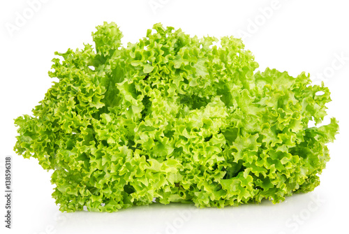 Fresh leaf lettuce closeup on a white background