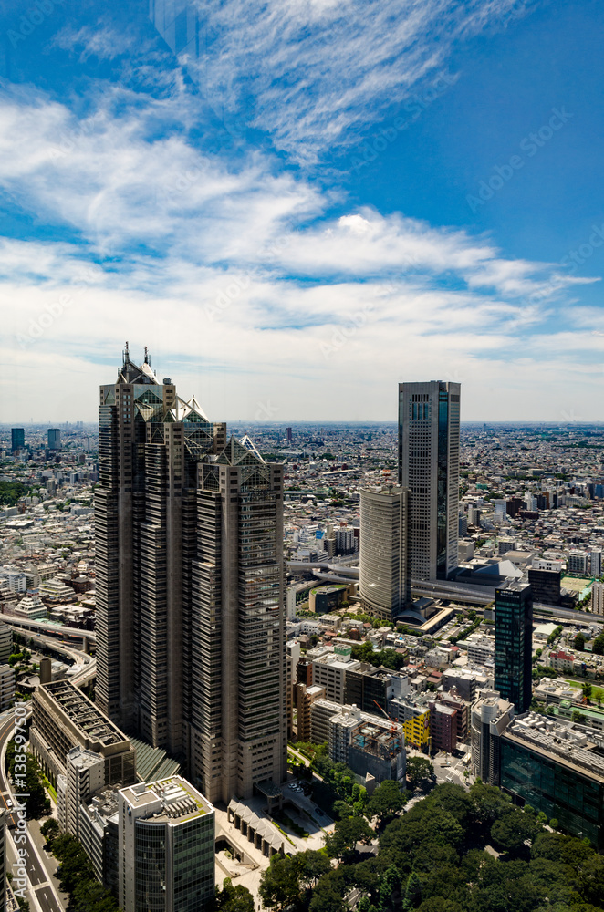 Fototapeta premium Skyline of Tokyo
