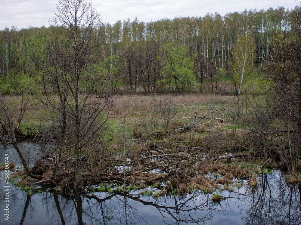 a small river in spring