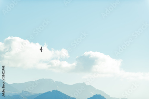 Bird soaring in sky over mountains
