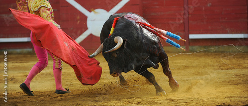 El Toro - Bullfigth corrida photo