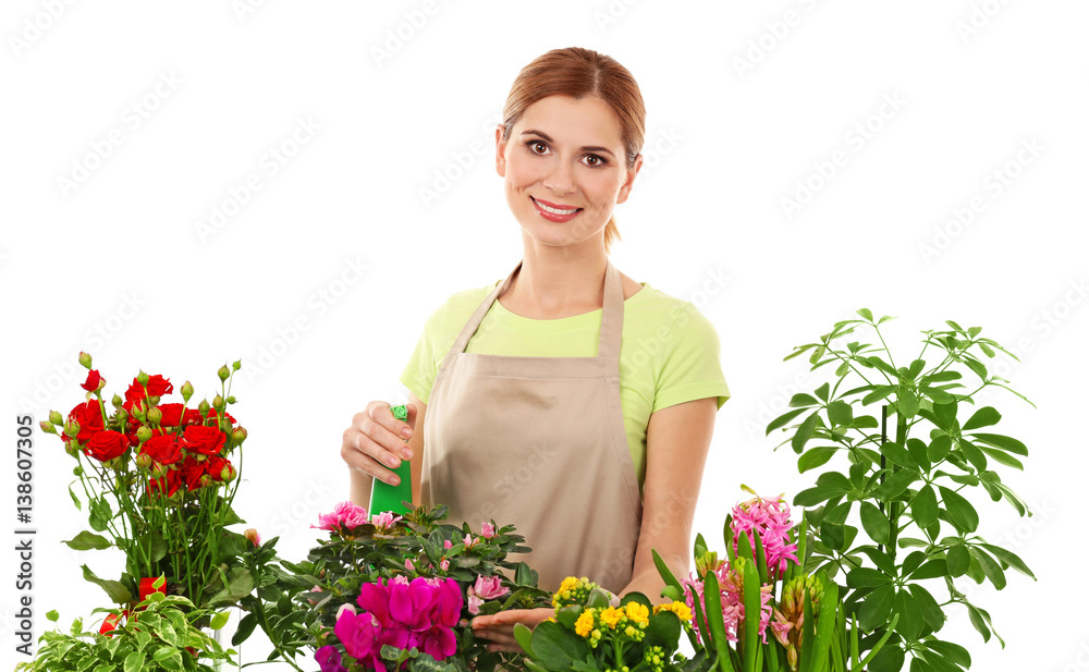 Woman florist watering beautiful house plants on white background Woman florist watering beautiful house plants on white background