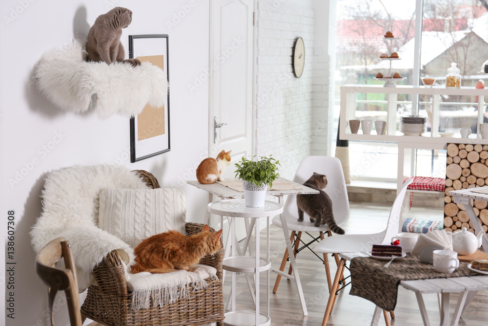© Africa Studio - Beautiful interior of modern cat cafe © Africa Studio - Beautiful interior of modern cat cafe