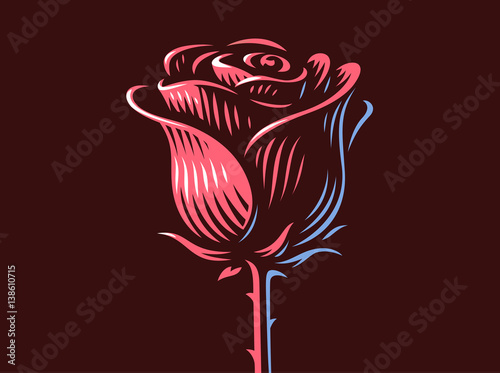 Red rose - vector illustration, emblem design on dark background