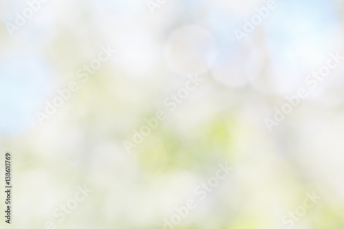 Abstract spring background from blurred blooming garden