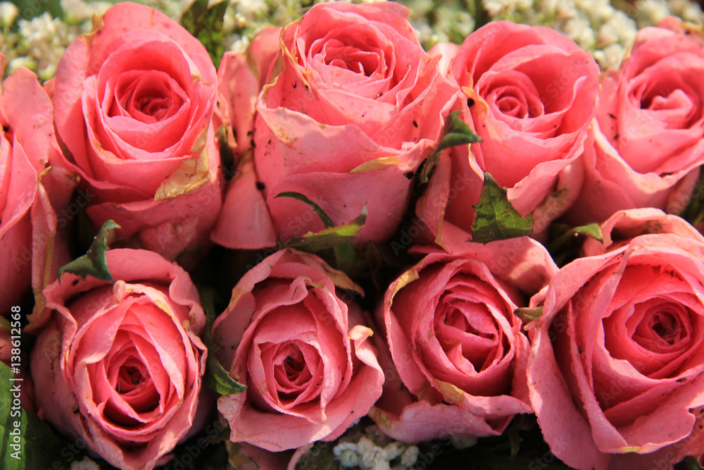 Pink roses and baby breath bouquet Pink roses and baby breath bouquet