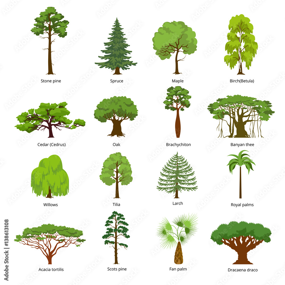 Flat green garden forest icons trees vector. Nature concept.
