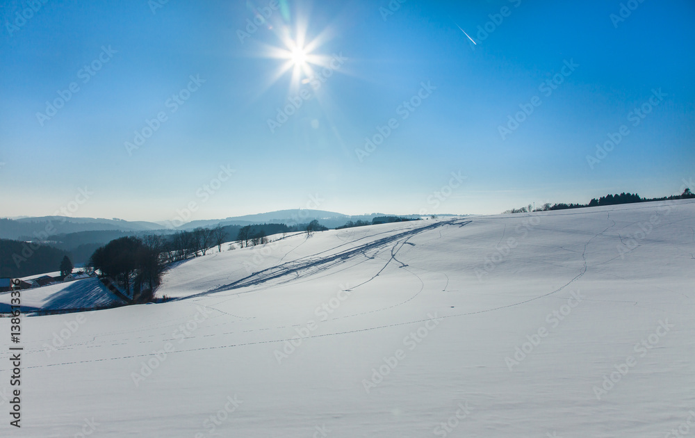 Clear winter landscape with sunshine