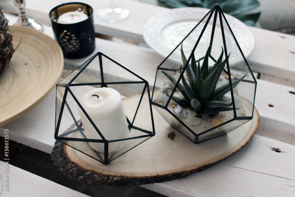 Candle and Aloe, decoration for the table decor Candle and Aloe, decoration for the table decor