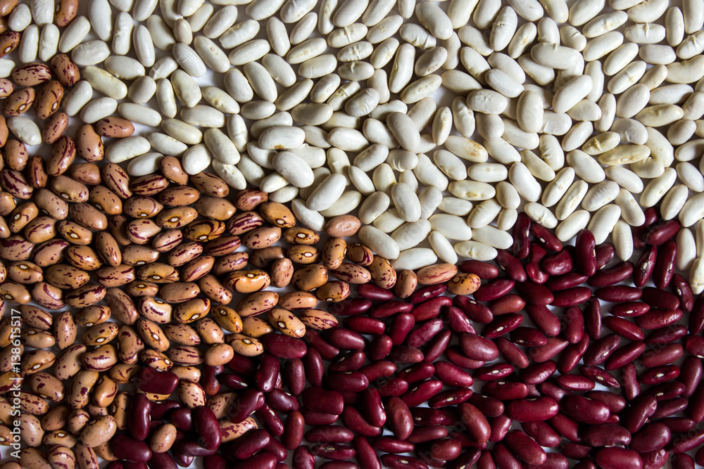 Different beans - small white kiney beans, red kidney beans, cranberry brown type beans. Different beans - small white kiney beans, red kidney beans, cranberry brown type beans.
