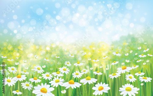 Vector summer nature background, blossoming flowers field.