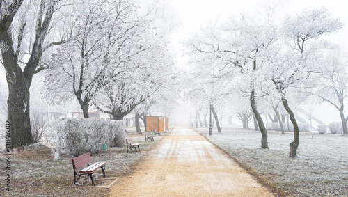 Nice winter scene