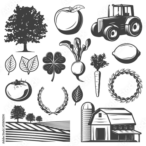 Vintage Natural Elements Set