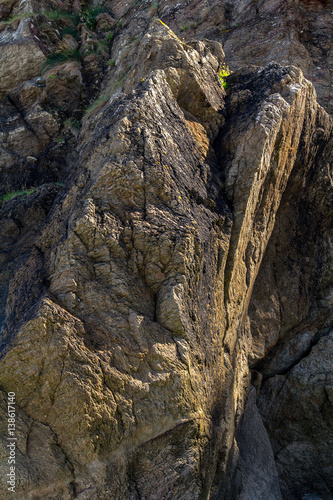 The texture of the rock close up. Many lines and layers. North Devon Coast. UK