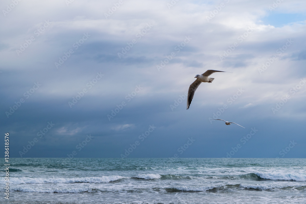 Seagull flying against blue dramatic cloudy sky, over the sea 