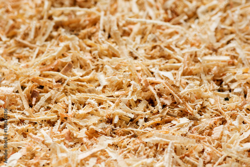 Wooden sawdust texture close up. Abstract background. Wooden sawdust texture close up. Abstract background.