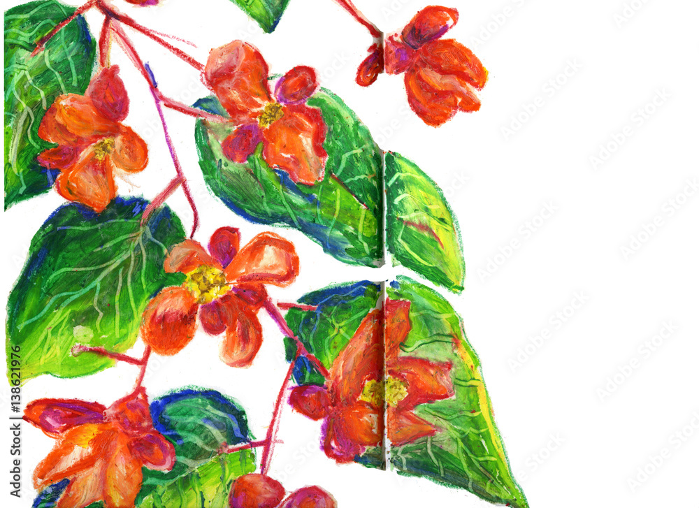 Obraz premium flowers