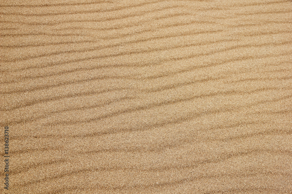 Rippled Sand Surface Rippled Sand Surface