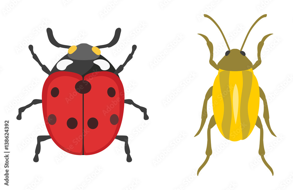 Fototapeta premium Insect icon flat isolated vector illustration.