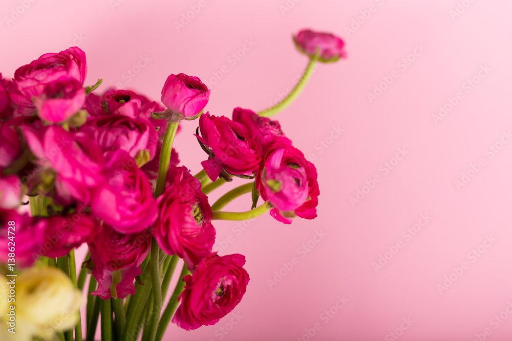 Beautiful bouquet of ranunculuses in a vase Beautiful bouquet of ranunculuses in a vase