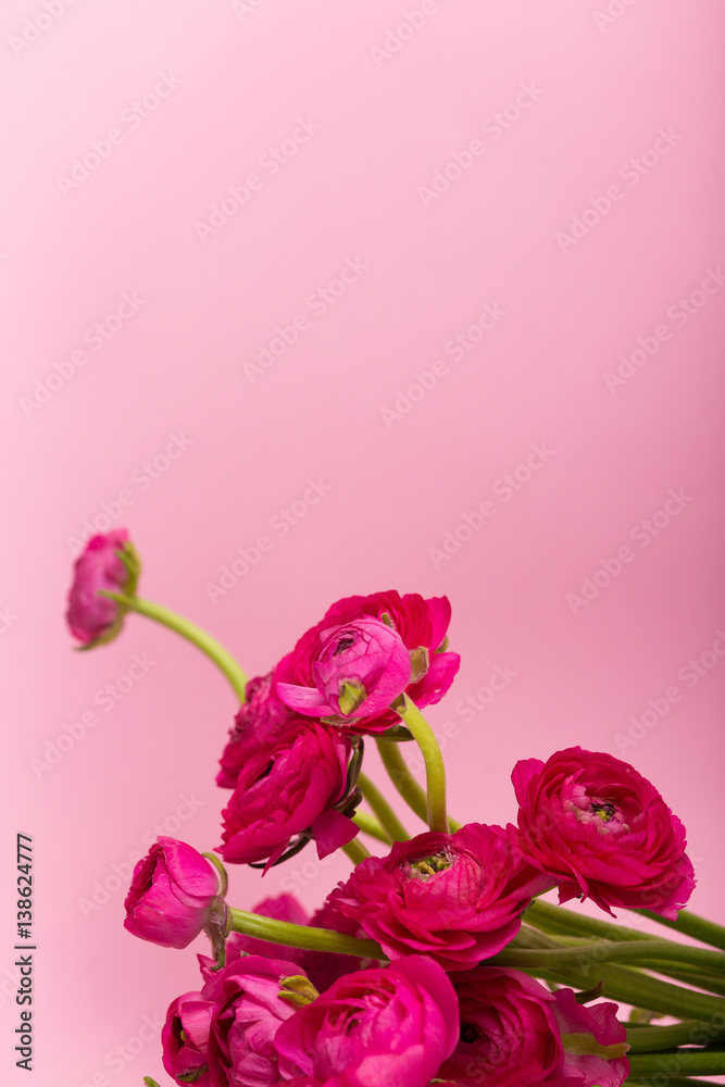 Beautiful bouquet of ranunculuses in a vase Beautiful bouquet of ranunculuses in a vase