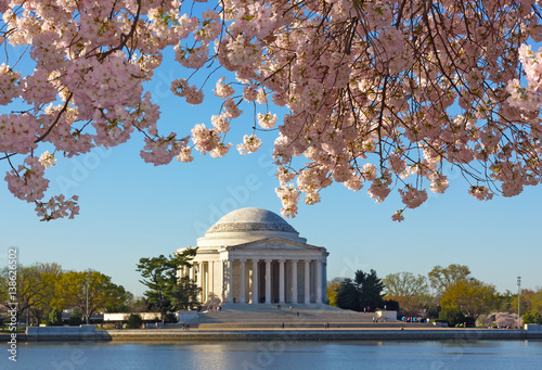 Thomas Jefferson Memorial at dawn during cherry blossom festival. US Capitol and Thomas Jefferson Memorial landmarks in US capital.