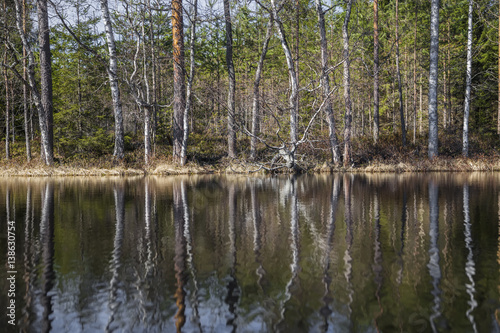  forest reflected in the lake water