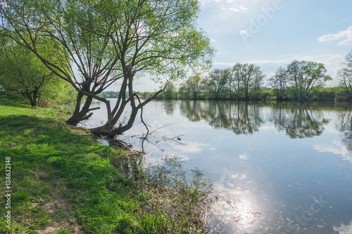 May spring landscape with the river. River Osetr in the vicinity of the town Zaraysk in Moscow photo