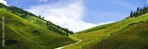 Canvas-taulu Panoramic landscaped hills with blue sky and white clouds