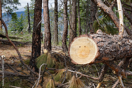 Happy Cut Tree