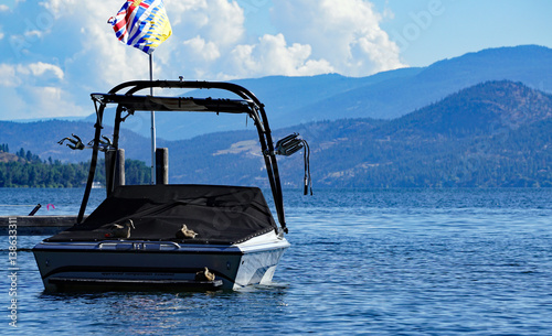 Ducks on a Boat
