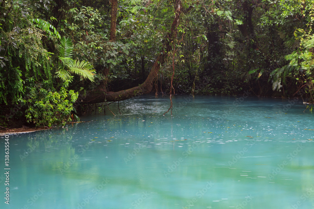 Fototapeta premium Rio celeste and vegetation