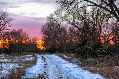 The Path