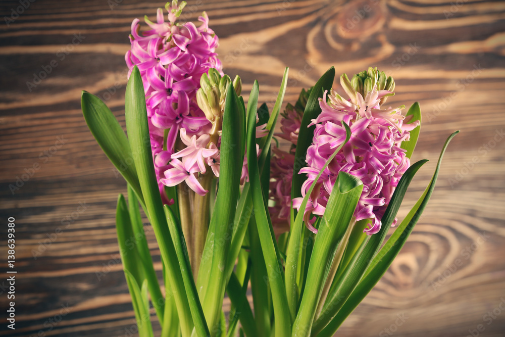 Beautiful hyacinth on wooden background